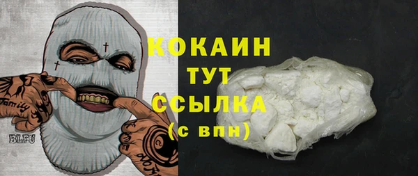 дживик Осташков