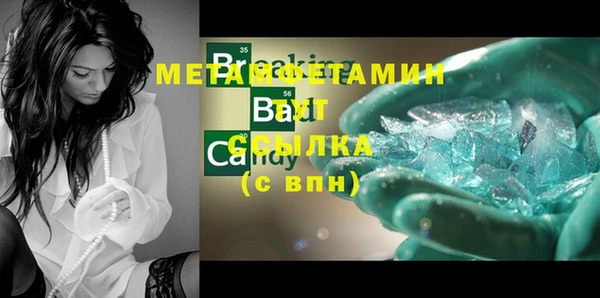 прущие грибы Нягань