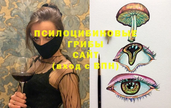 дживик Осташков