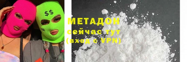 прущие грибы Нягань