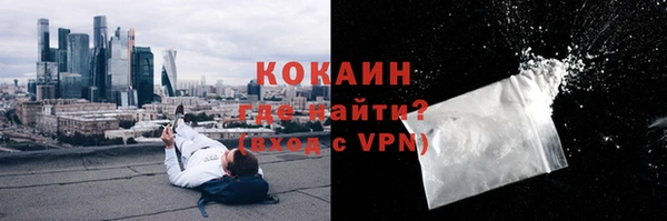 прущие грибы Нягань