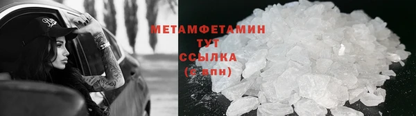 прущие грибы Нягань