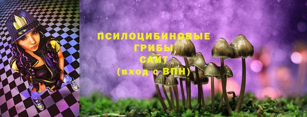 не бодяженный Няндома