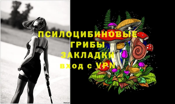 круглые Арсеньев