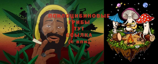 не бодяженный Няндома