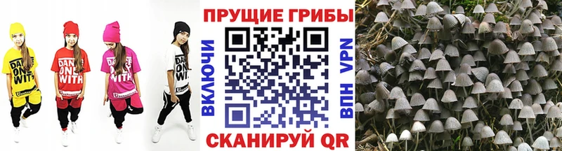 Галлюциногенные грибы прущие грибы Кола